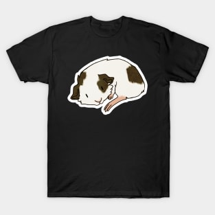 Guinea Pig in Elbow Pose T-Shirt